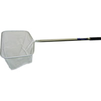 Promar Bait Dealer/Scientific Nets