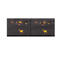 Pulsar Axion XM30S Thermal Monocular