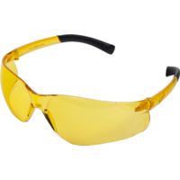 Pyramex Ztek Safety Glasses
