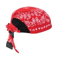Radians Arctic Skull Head Shade Red Paisley RCS307