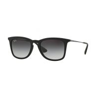 Ray-Ban RB4221 Sunglasses