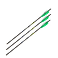 Allen Xd300 Crossbow Bolt, 3 Pack