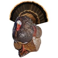 Rinehart Spot and Stalk Decoy