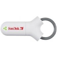 SanDisk Cruzer Freedom 256 MB Flash Drive SDCZY256A10