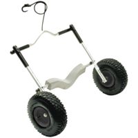 Seattle Sports Fat Boy