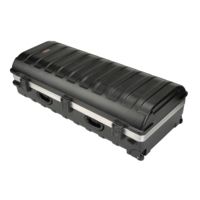 SKB Cases 50x20x14 Rail Pack Utility Case with Wheels , no Foam, 49 x 20 x 13