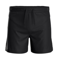 Smartwool Active Lined 5in Short - Men's