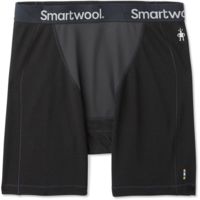 Smartwool Merino Sport 250 Wind Boxer Brief - Men's