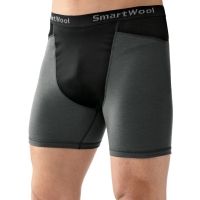 Smartwool PhD NTS 195 Wind Boxer Brief - Men's