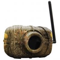 Spypoint Motion Detector