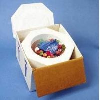 Tegrant Thermosafe ThermoSafe Insulated Shipper/Bio-Mailers in Corrugated Cartons, ThermoSafe Brands 317UPS, Case of 6