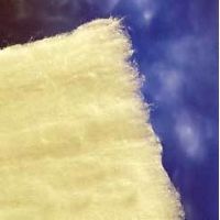 US Cotton Cotton Rolls and Balls 79212002 Non-Absorbent Cotton Rolls