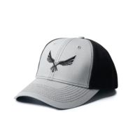 Virtus Yorio Silver - Ball Cap Black Silver Eagle