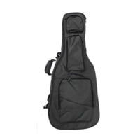 VISM Discreet Guitar Rifle Case