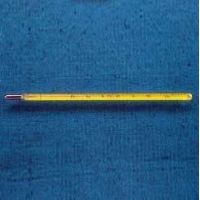 VWR Incubator Safety Thermometers 30266T Mercury-Filled, Yellow Back Glass