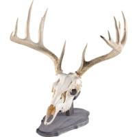 Walnut Hollow Euro Mount Kit 1302349