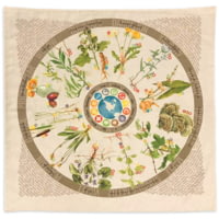 Wazoo Survival Gear Bandana Foraging Reference