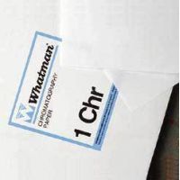 Whatman Grade No. 1 Chr Thin Chromatography Paper, Cellulose, Whatman 3001-861 Sheets (cm x cm), Pack of 100