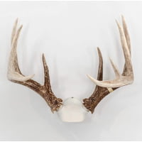 Wicked North Gear The Change Up Antler Display Kit