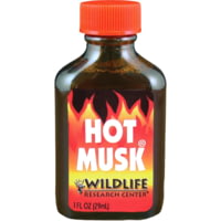 Wildlife Research Center Hot Musk