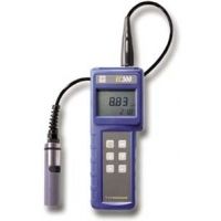 Yellow Springs 300-10 TEN-METER Cable W/PROBE 605396