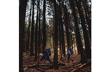 Image of Gregory Deva 60 Backpack