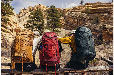 Image of Gregory Paragon 60L Backpack - Mens, Cascade Green, Medium/Large, 152342-8884