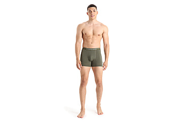 Image of Icebreaker Anatomica Boxers - Mens, Loden, Extra Large, IB103029069XL