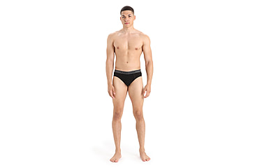 Image of Icebreaker Anatomica Briefs - Mens, Loden, Medium, IB103031069M