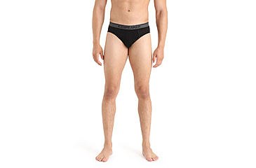 Image of Icebreaker Anatomica Briefs - Mens, Loden, Medium, IB103031069M