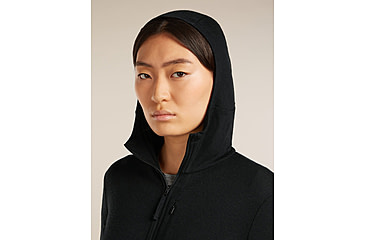 Image of Icebreaker Merino 260 Quantum Long Sleeve Zip Hoodie - Womens