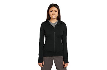 Image of Icebreaker Merino 260 Quantum Long Sleeve Zip Hoodie - Womens