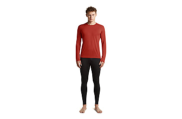 Image of Icebreaker Merino 260 Tech Long Sleeve Crewe Thermal Top - Mens