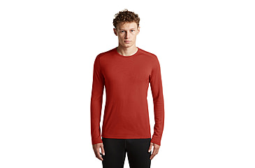 Image of Icebreaker Merino 260 Tech Long Sleeve Crewe Thermal Top - Mens