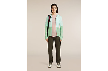 Image of Icebreaker Merino Blend 200 RealFleece Descender Long Sleeve Zip Hoodie - Womens