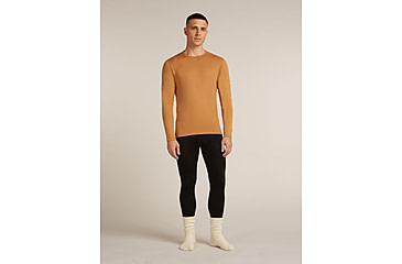 Image of Icebreaker Merino 260 Tech Long Sleeve Crew Thermal Top - Mens, Trail, Large, IB1043710GRL