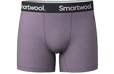Image of Smartwool Active Boxer Brief Boxed - Mens