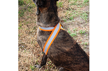 Image of United States Tactical Reflective Elastic Belt, Orange, UST-BLT00906