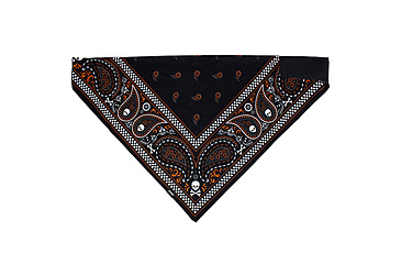 Image of Bandanna