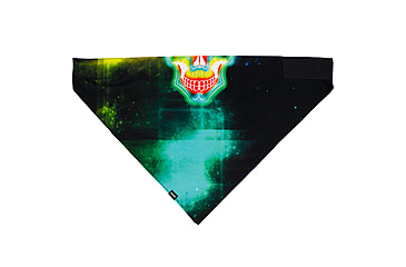 Image of Bandanna