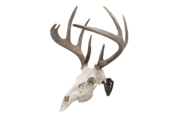 Image of Allen EZ Mount Skull Hanger, Fixed, Brown, 7228