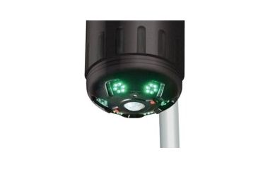 Image of American Hunter Swine Shine Hog  Light, AH-HOGLITE