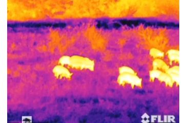 Image of Armasight Prometheus 640 3-24x75,60hz Thermal Imaging Monocular, FLIR Tau 2, 640x512 17 60hz Core, 75mm Lens TAT166MN7PROM31