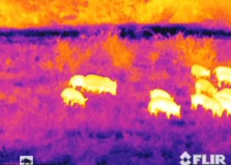 Image of Armasight Prometheus 7 Thermal Imaging Monocular, FLIR Tau 2 - 160x120, 60Hz Core, 75mm Lens TAT216MN7PROM71