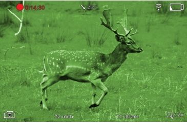 Image of ATN BinoX-HD 4x Smart Day and Night Binocular DGBNBNHDX1