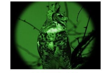 Image of ATN Night Scout VX, Night Vision Binocular, 1+ Gen 40 lp/mm NVBNNSCV10