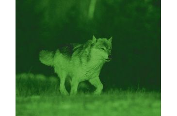 Image of ATN NVB5X-2I Night Vision Bi-Ocular NVBNB05X2I