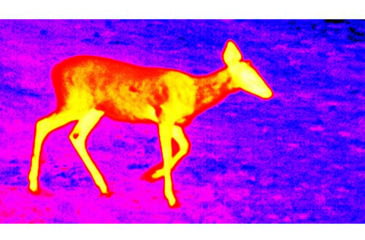 Image of ATN OTS 4T, 7-28x, 384x288, Thermal Viewer w/ Full HD Video rec, WiFi, Smooth zoom, iOS/Android Controlling App, Black, TIMNO4387A