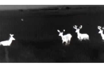Image of ATN OTS 4T, 7-28x, 384x288, Thermal Viewer w/ Full HD Video rec, WiFi, Smooth zoom, iOS/Android Controlling App, Black, TIMNO4387A