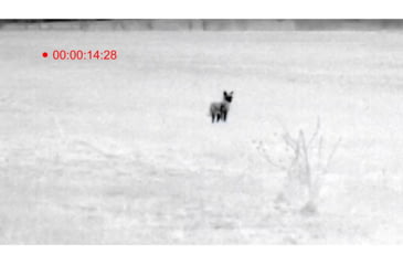 Image of ATN OTS 4T, 7-28x, 384x288, Thermal Viewer w/ Full HD Video rec, WiFi, Smooth zoom, iOS/Android Controlling App, Black, TIMNO4387A